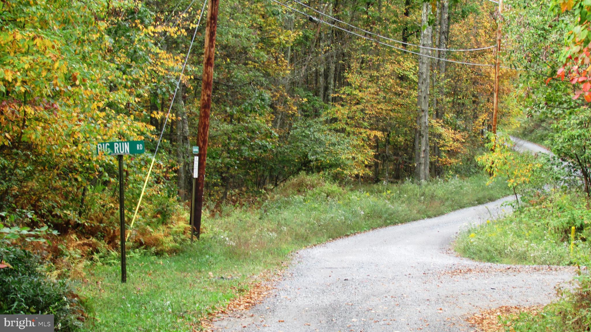 105 Big Run Road Howard, PA 16841 - Photo 28 of 37 a view of a yard with plants and large trees