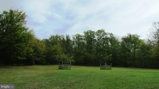 a view of a green field with trees in the background