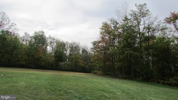 a view of a yard with a trees