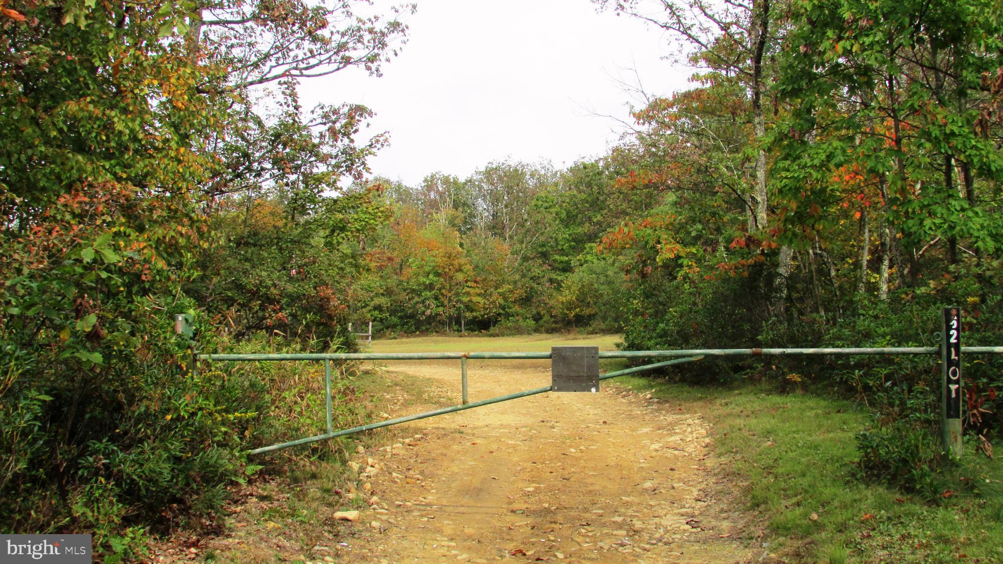 105 Big Run Road Howard, PA 16841 - Photo 6 of 37 a backyard of a house with a basket ball court