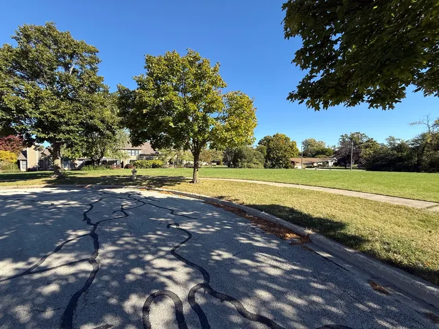 a view of a yard with yellow lighting