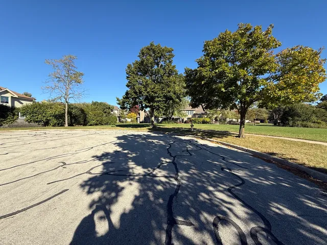 a view of road with grass and a trees
