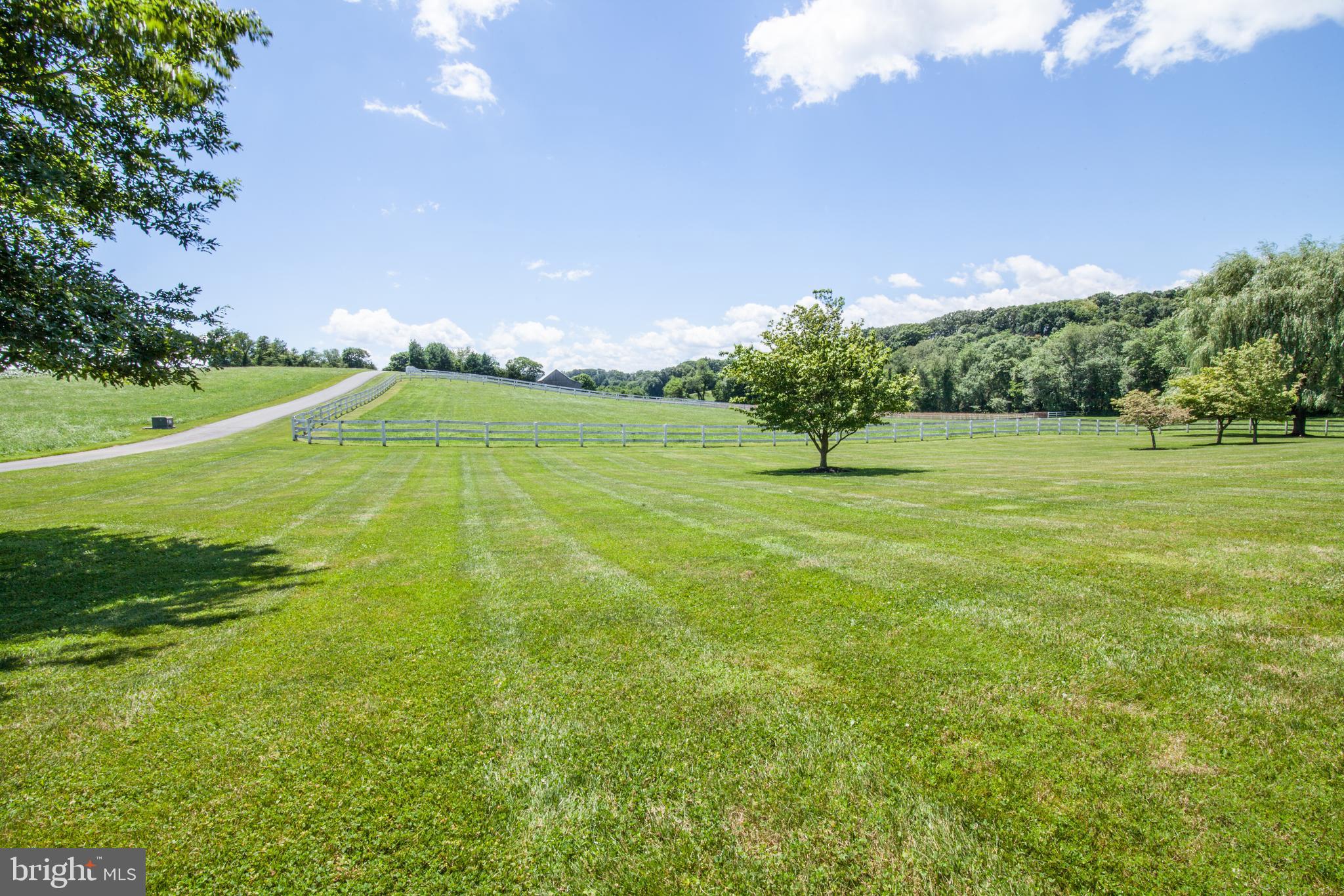 3925 Davis Corner Road Street, MD 21154 - Photo 11 of 51 21+ acres