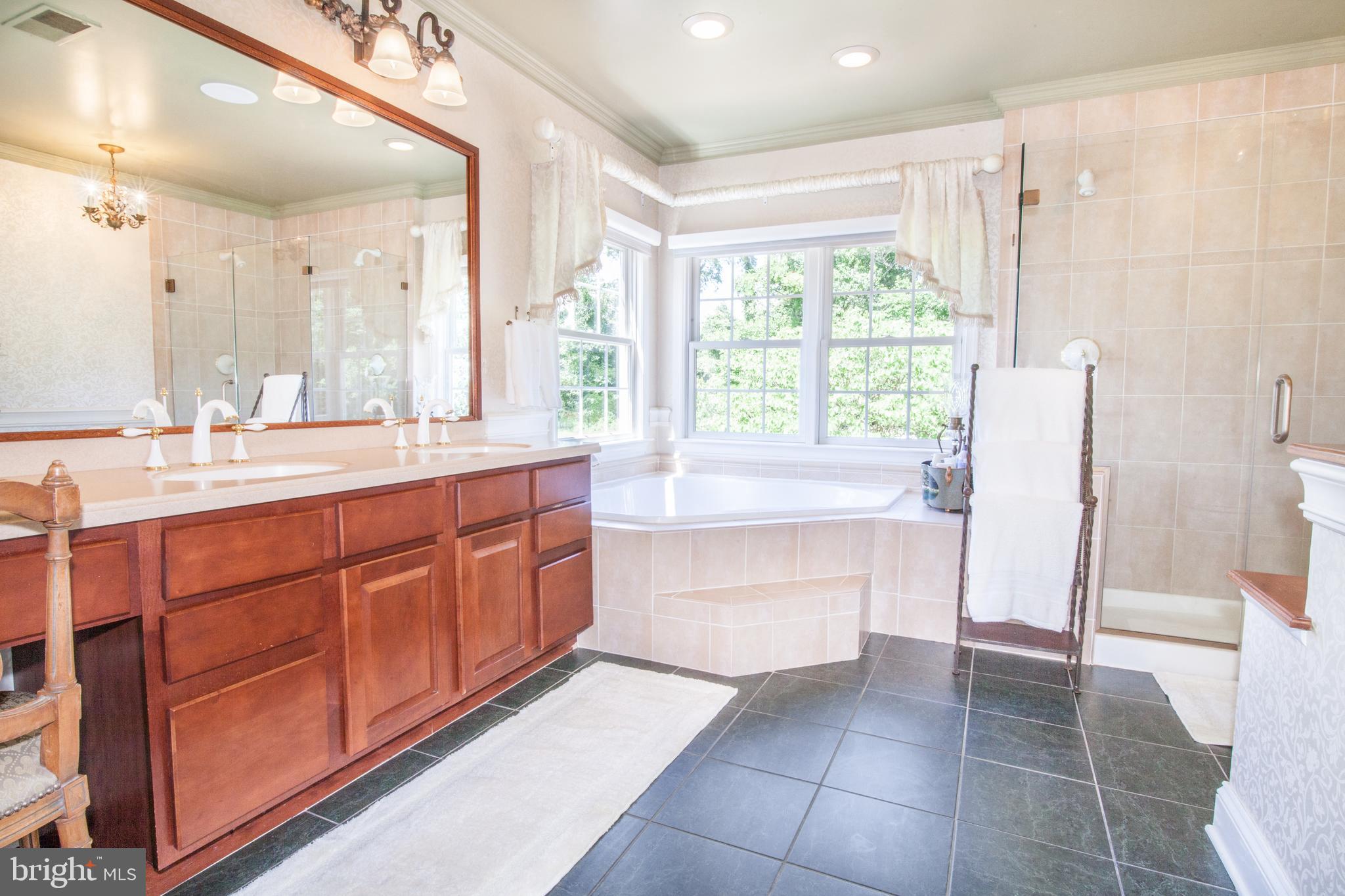 3925 Davis Corner Road Street, MD 21154 - Photo 38 of 51 Master bath