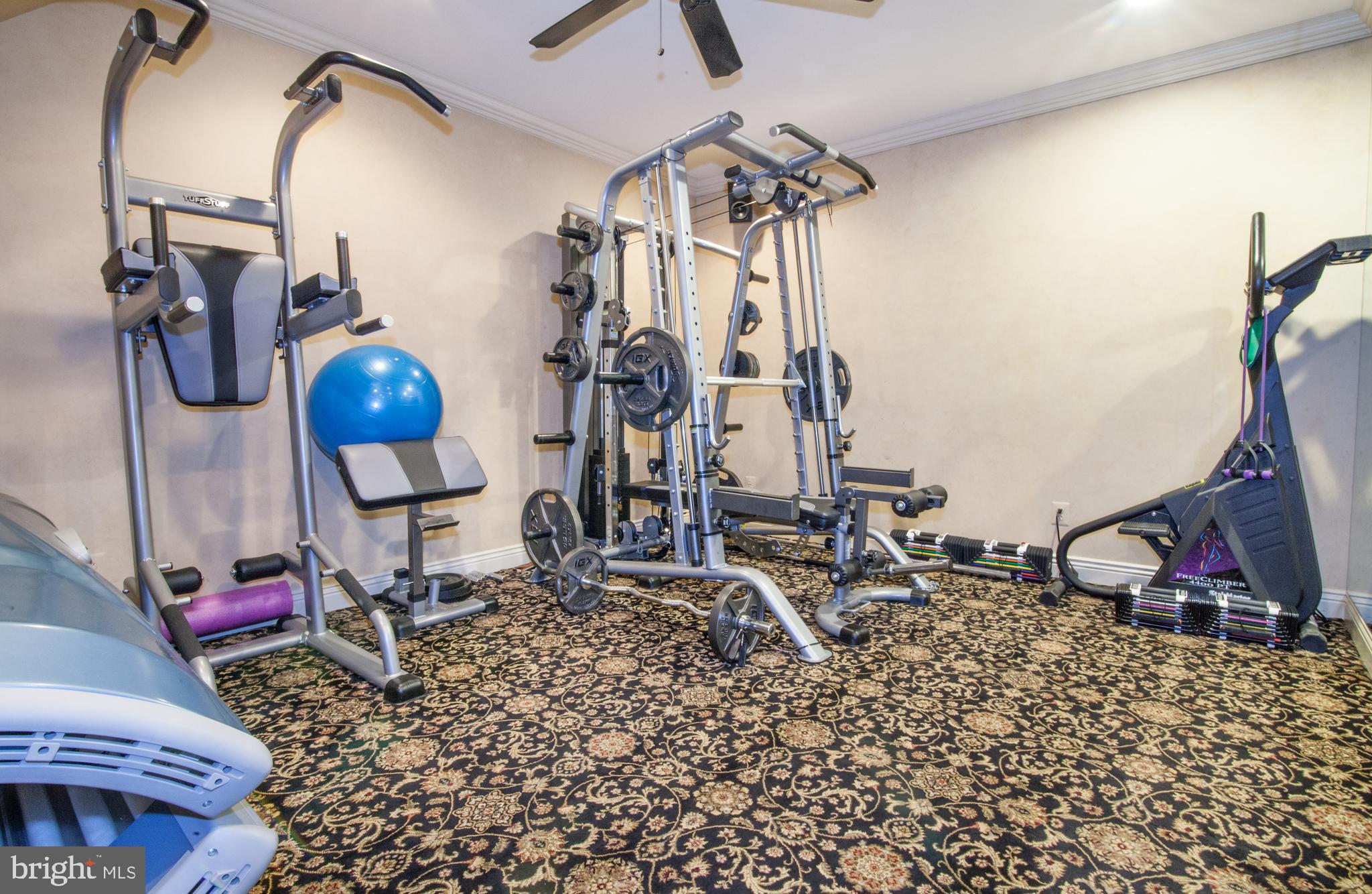 3925 Davis Corner Road Street, MD 21154 - Photo 51 of 51 Lower level exercise room
