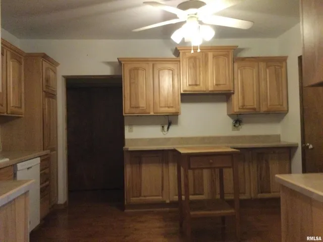 $99,999 | 203 East Whitlock Street, Jonesboro, IL 62952