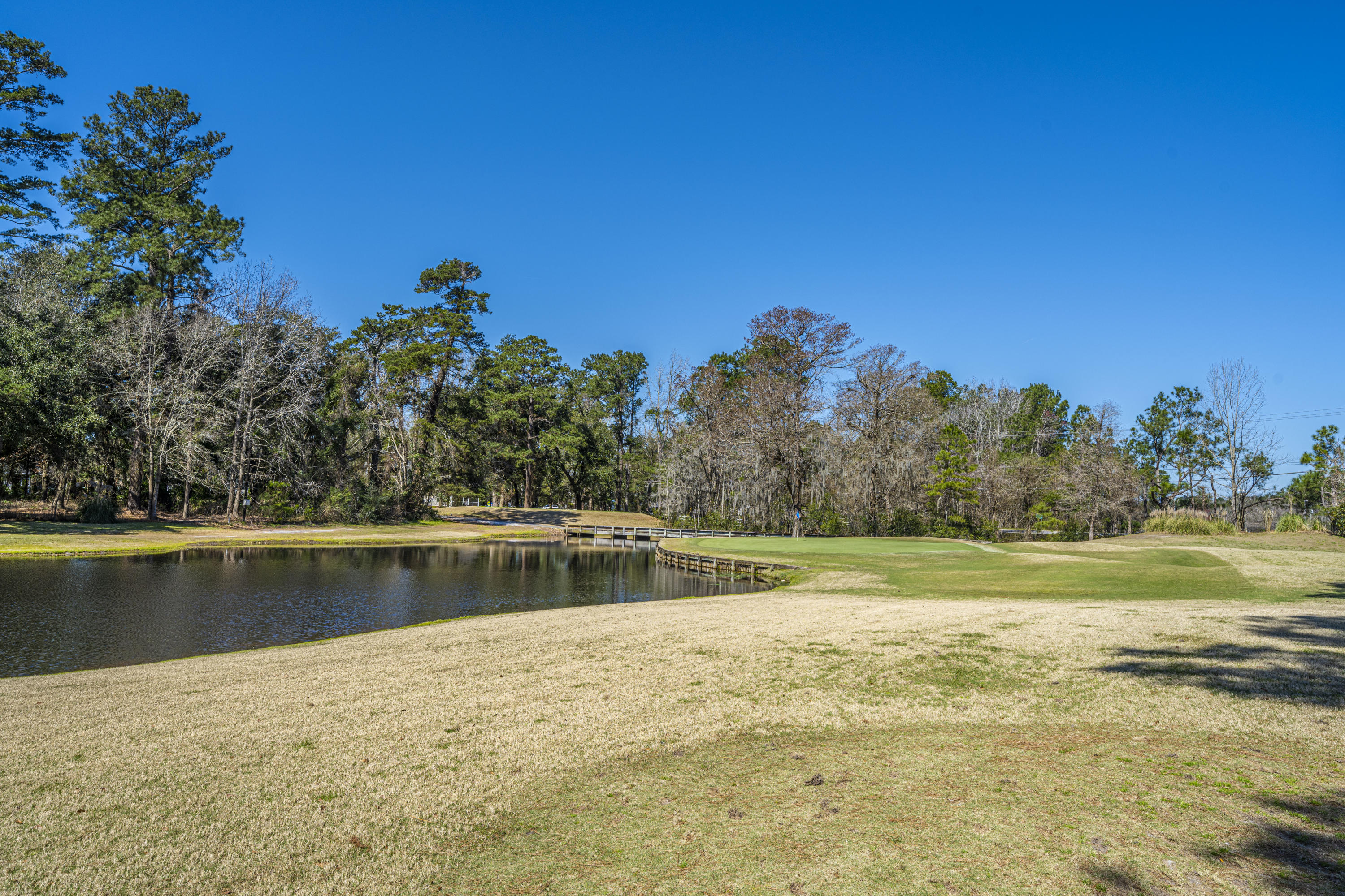 106 Old Course Road Summerville, SC 29485 - Photo 42 of 45 DSC_7073