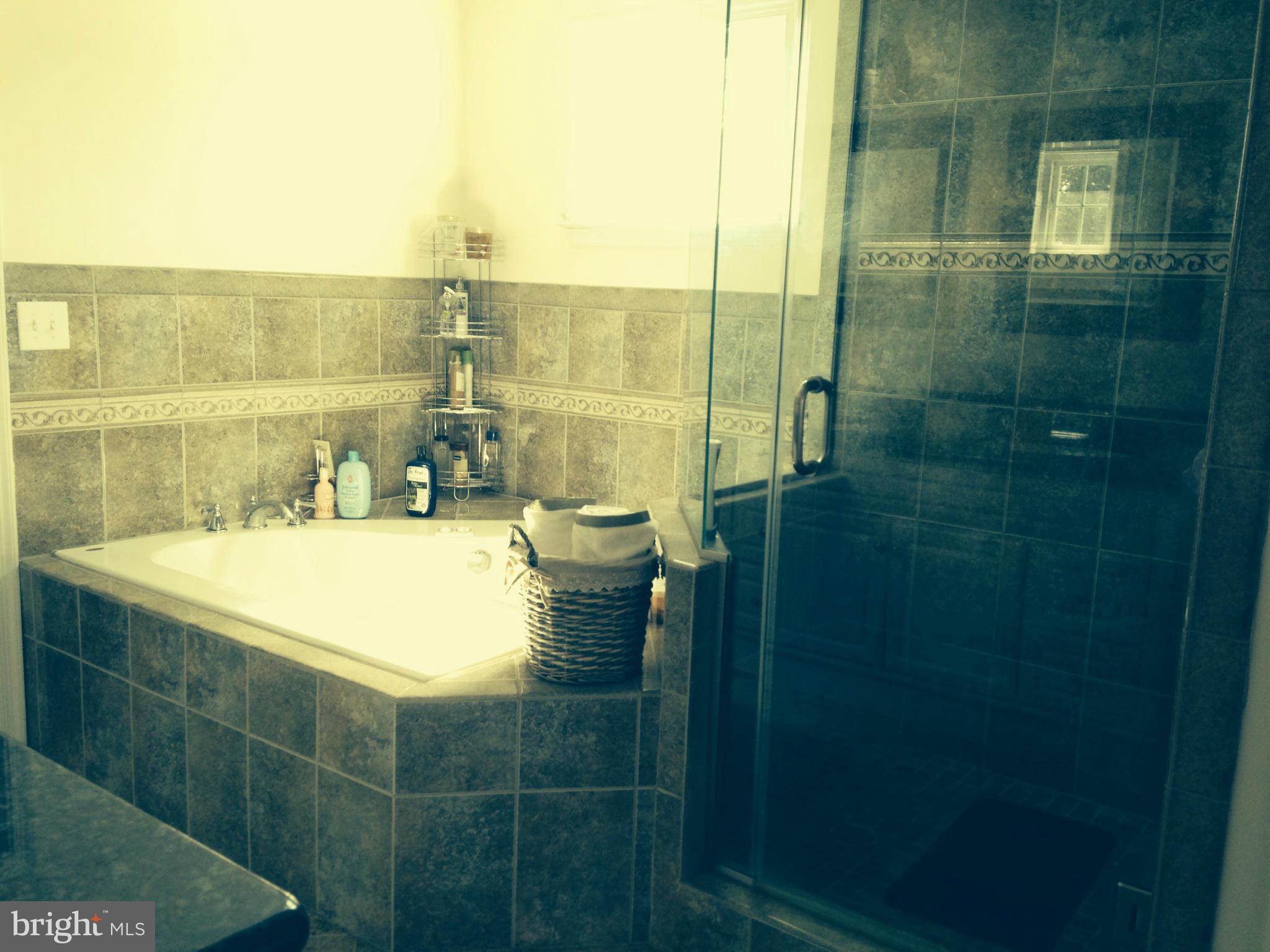 1605 Neely Road Silver Spring, MD 20903 - Photo 3 of 15 Bath (Master)
