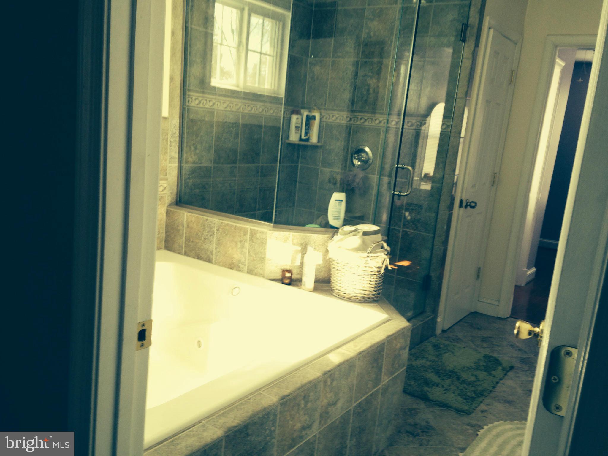 1605 Neely Road Silver Spring, MD 20903 - Photo 4 of 15 Bath (Master)