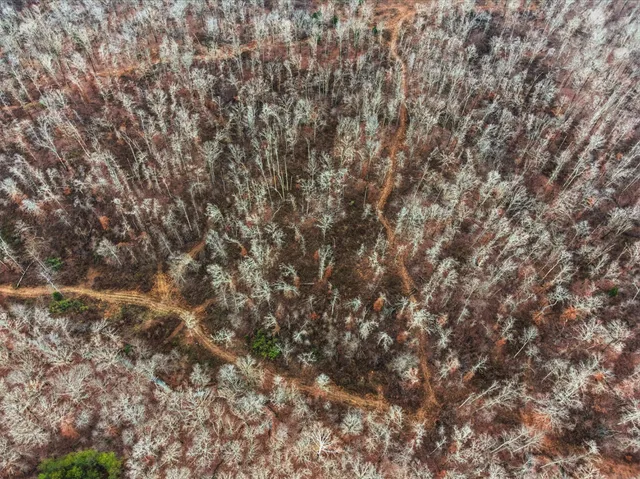 a view of a lake view