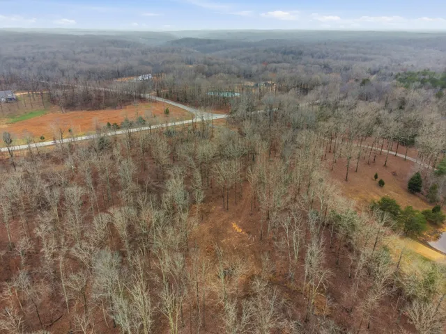 a backyard of a house with trees