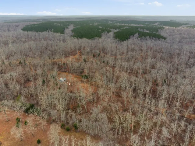 a view of a dry yard with trees