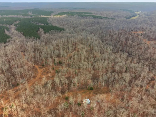 a view of a dry yard with wooden floor