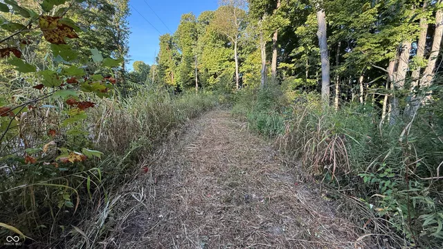 $73,900 | 0 Braysville Road, Spencer, IN 47460