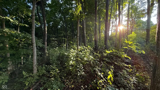 $73,900 | 0 Braysville Road, Spencer, IN 47460