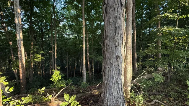 $73,900 | 0 Braysville Road, Spencer, IN 47460