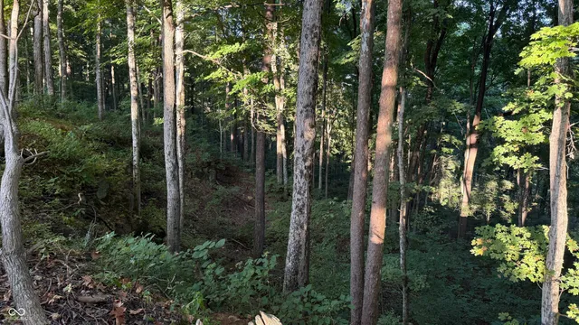 $73,900 | 0 Braysville Road, Spencer, IN 47460