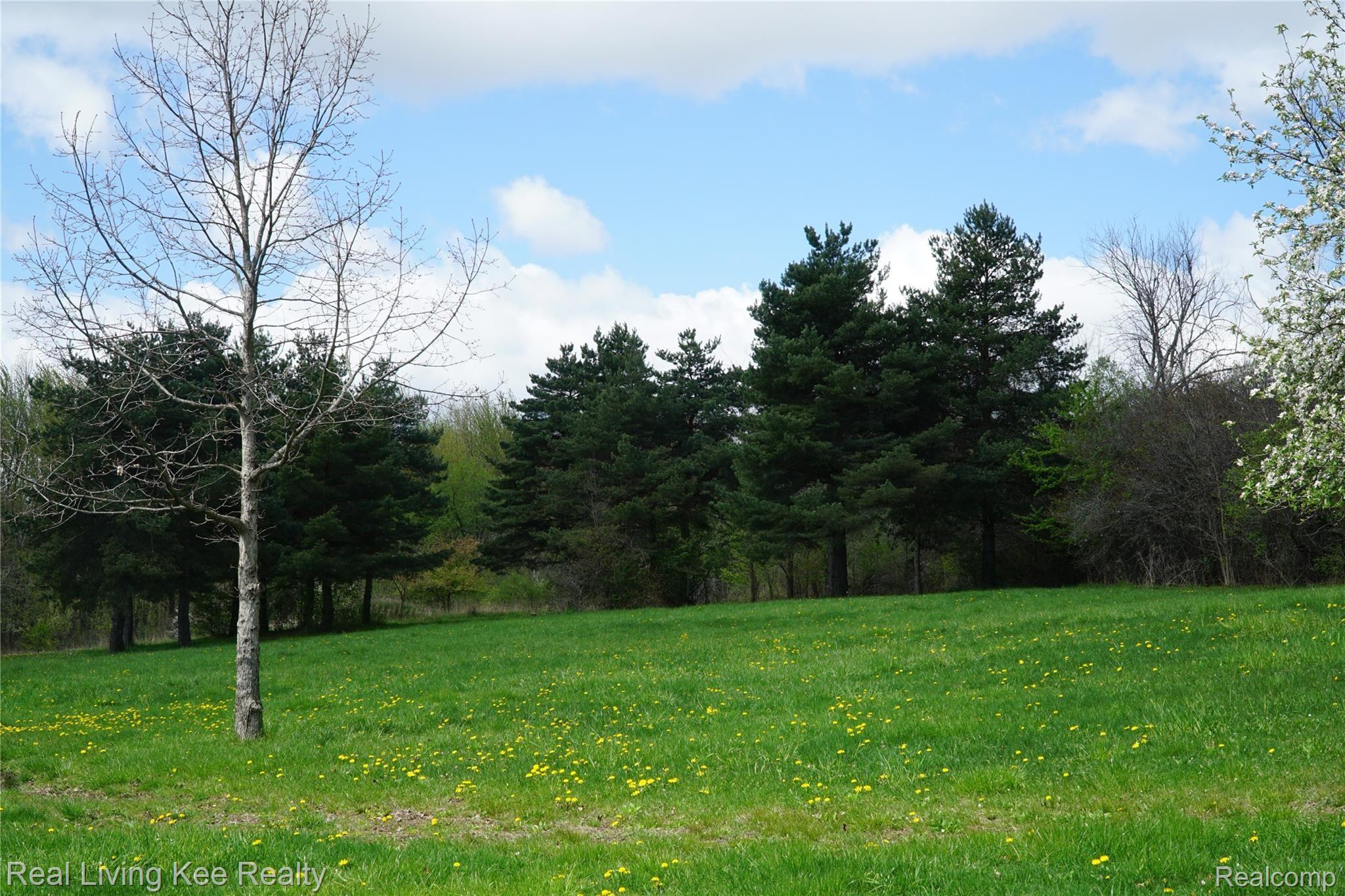 5408 South Vassar Road Grand Blanc, MI 48439 - Photo 22 of 22 Wooded area at back of the property