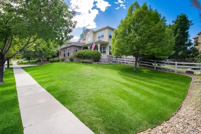 a view of a backyard with a garden and trees