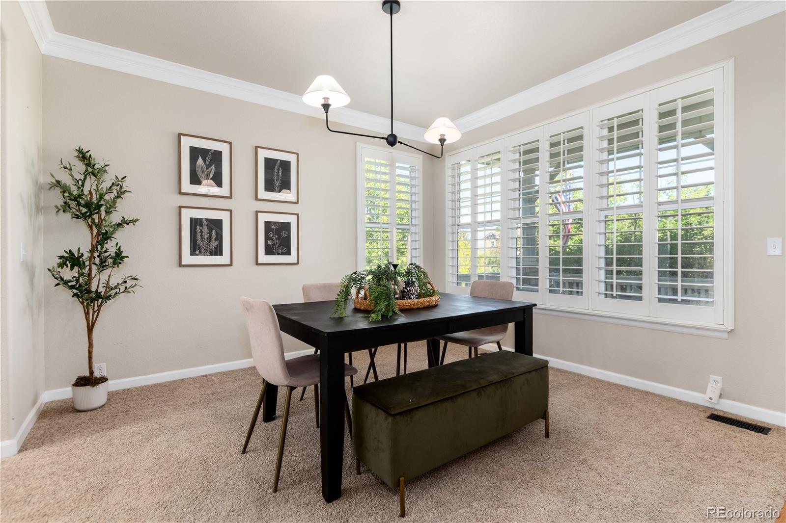 3064 Rams Horn Run Broomfield, CO 80023 - Photo 7 of 47 a living room with furniture and a potted plant