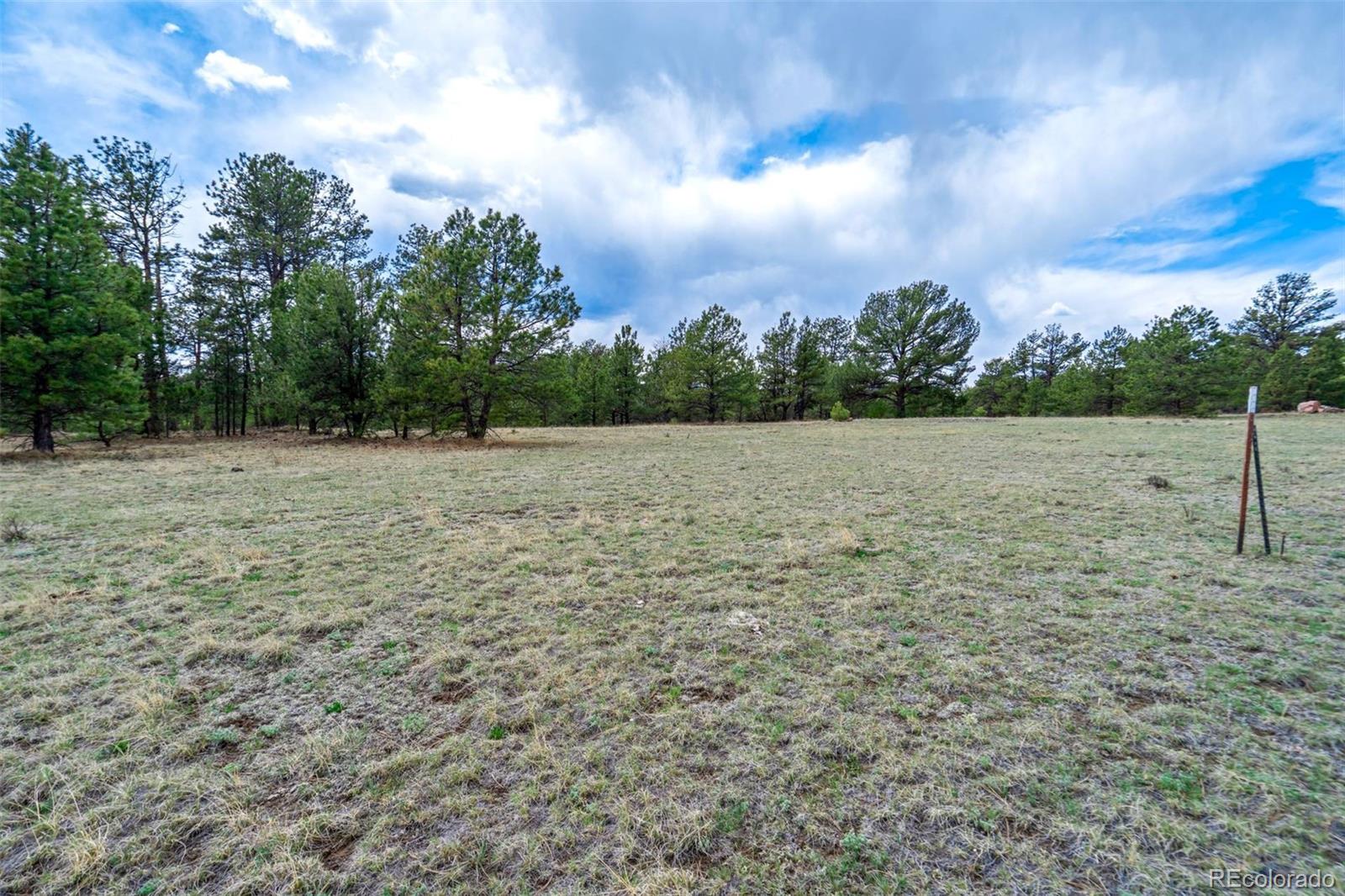 103 Doe Valley Road Guffey, CO 80820 - Photo 15 of 46