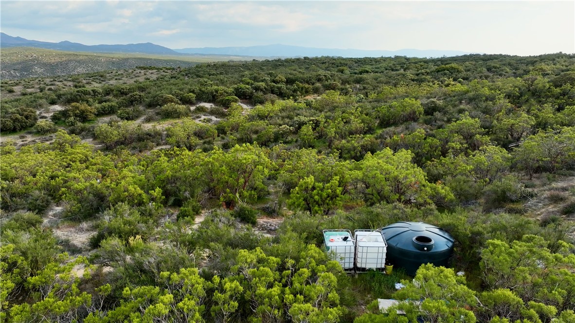 4 Indian Road Anza, CA 92539 - Photo 14 of 17 an aerial view of a forest with houses