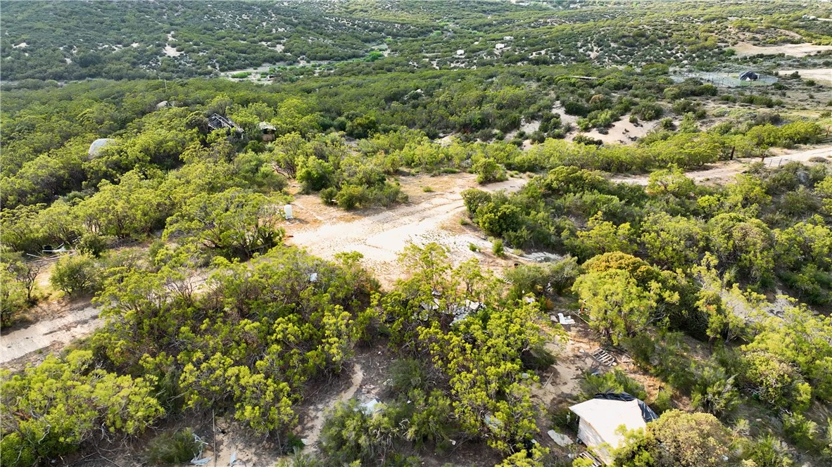 4 Indian Road Anza, CA 92539 - Photo 5 of 17 a view of a forest with a tree