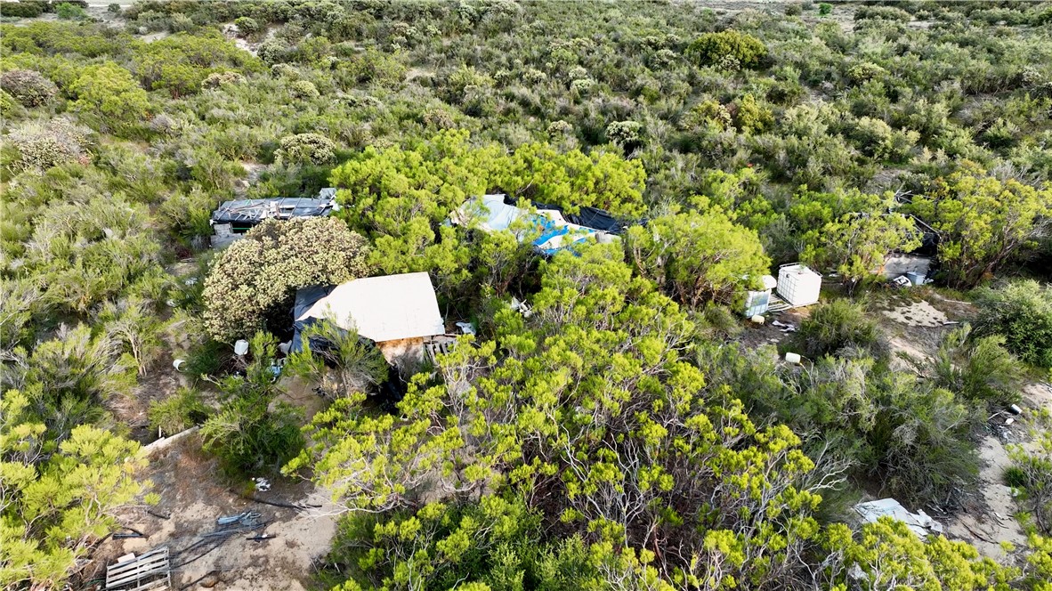 4 Indian Road Anza, CA 92539 - Photo 8 of 17 a view of a tree with a tree