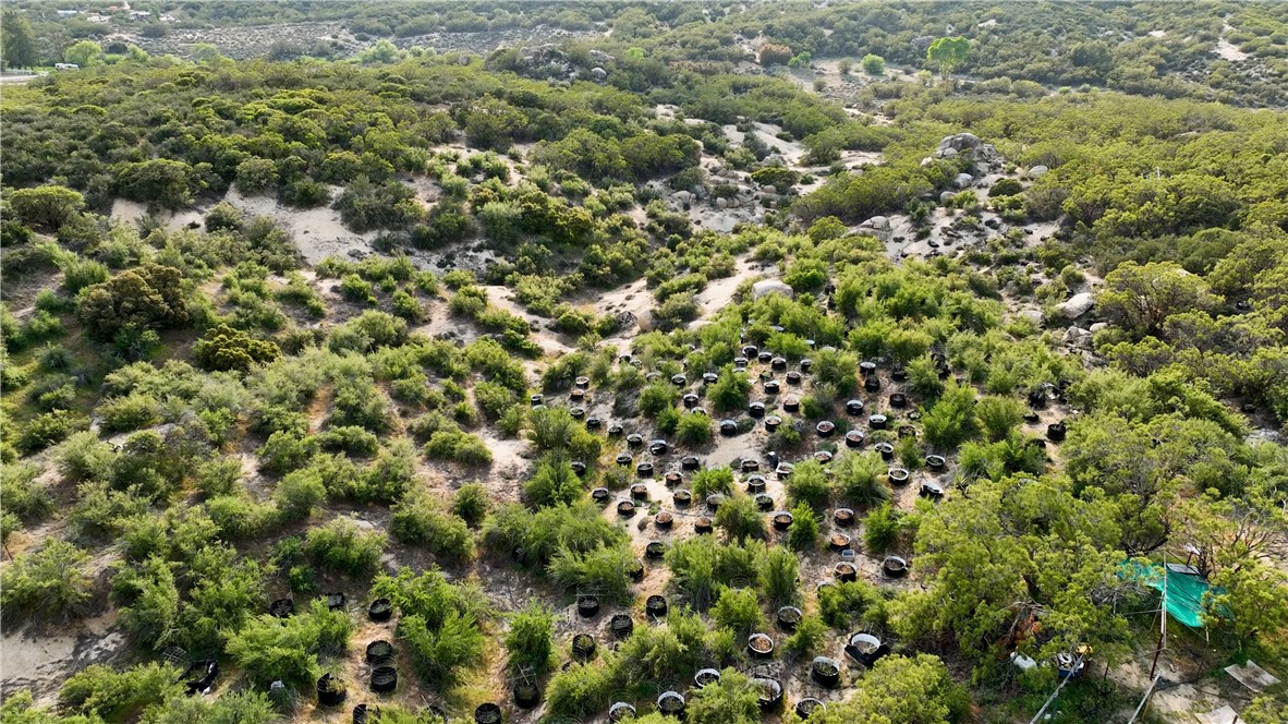 4 Indian Road Anza, CA 92539 - Photo 10 of 17