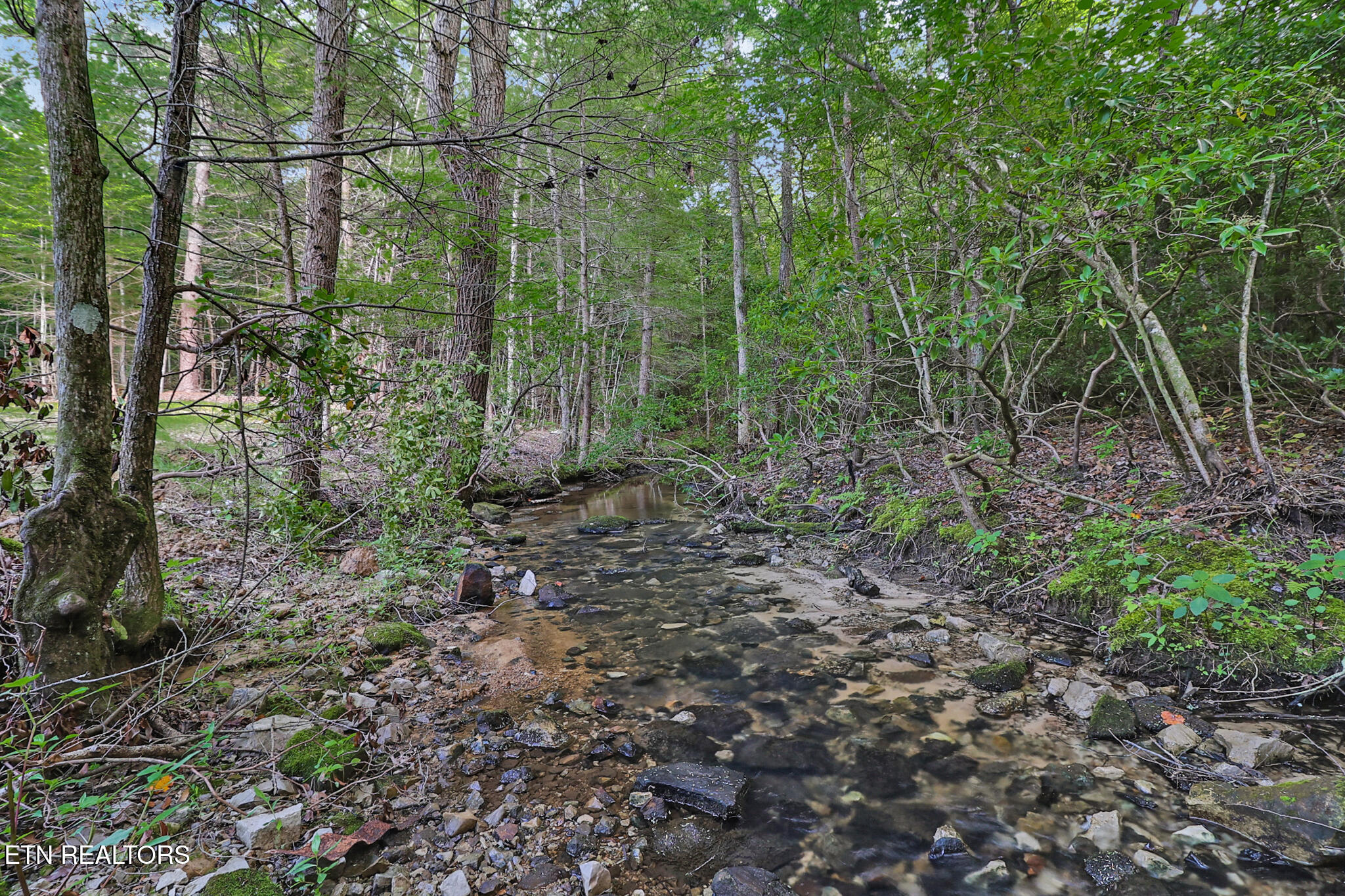 373 Georgee Road Jamestown, TN 38556 - Photo 42 of 43 n44a6366-n44a6370