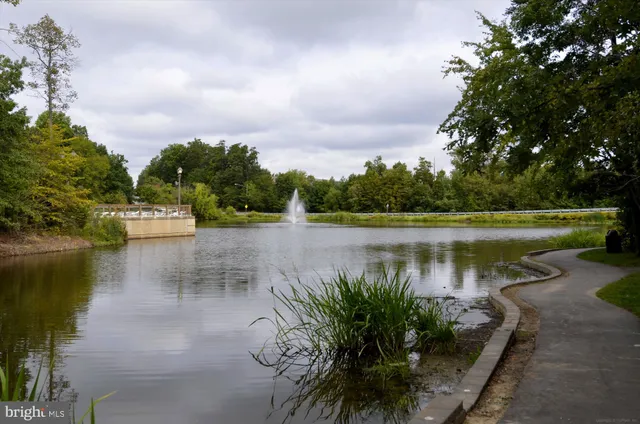 a view of a garden with wooden fence