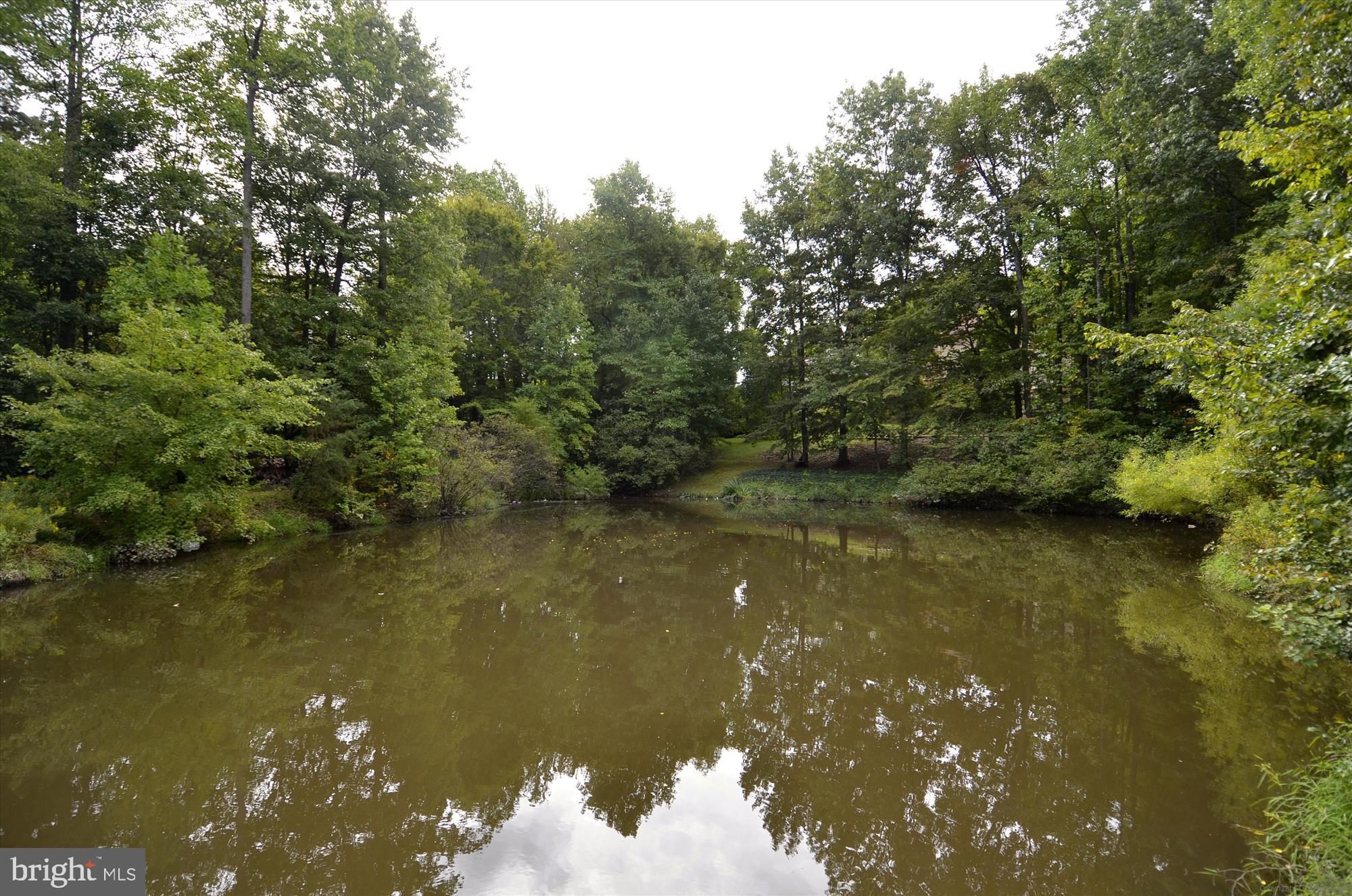 4232 Devonwood Way Woodbridge, VA 22192 - Photo 27 of 33 Westridge Lake