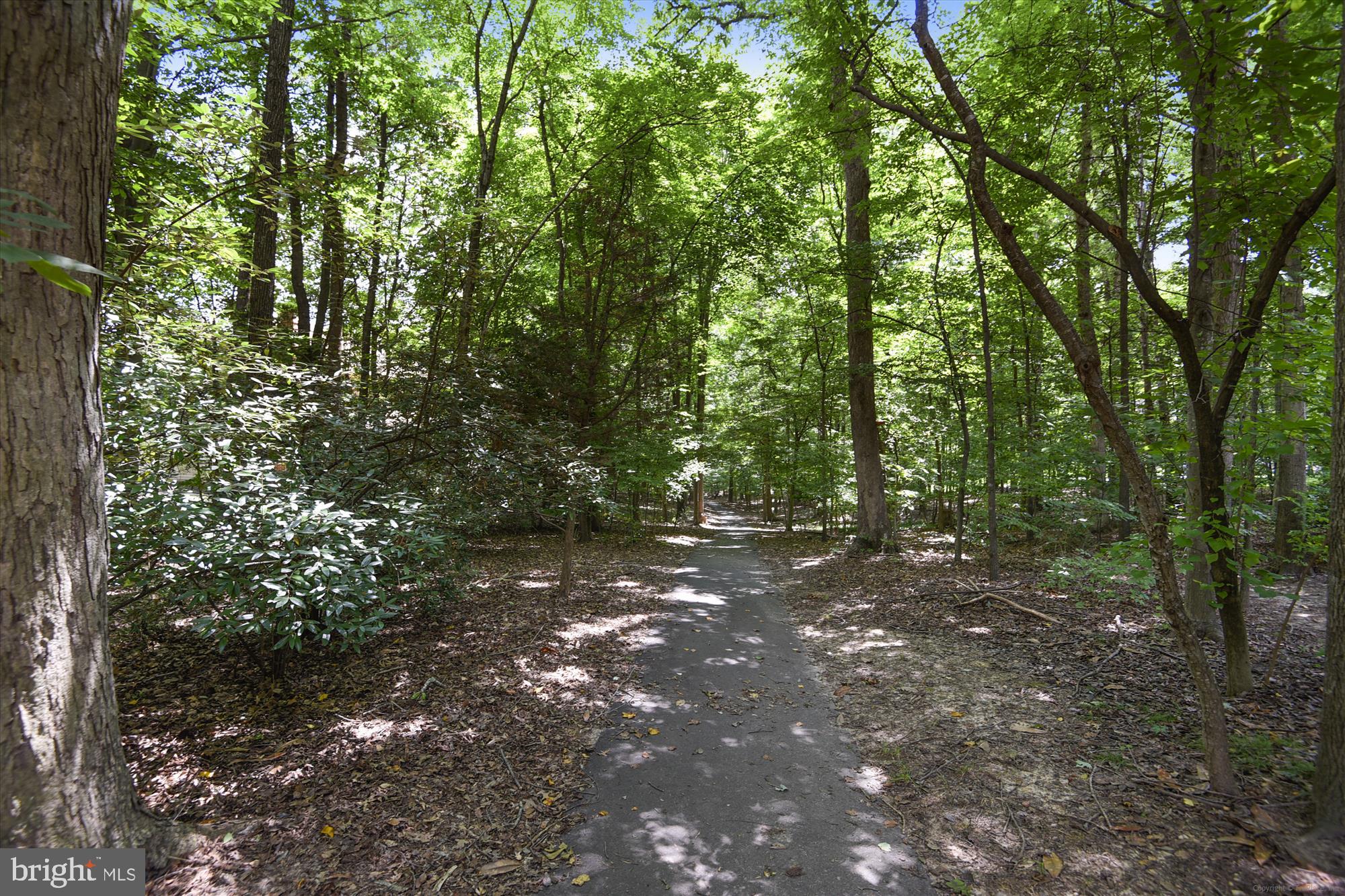 4232 Devonwood Way Woodbridge, VA 22192 - Photo 30 of 33 Westridge Trail