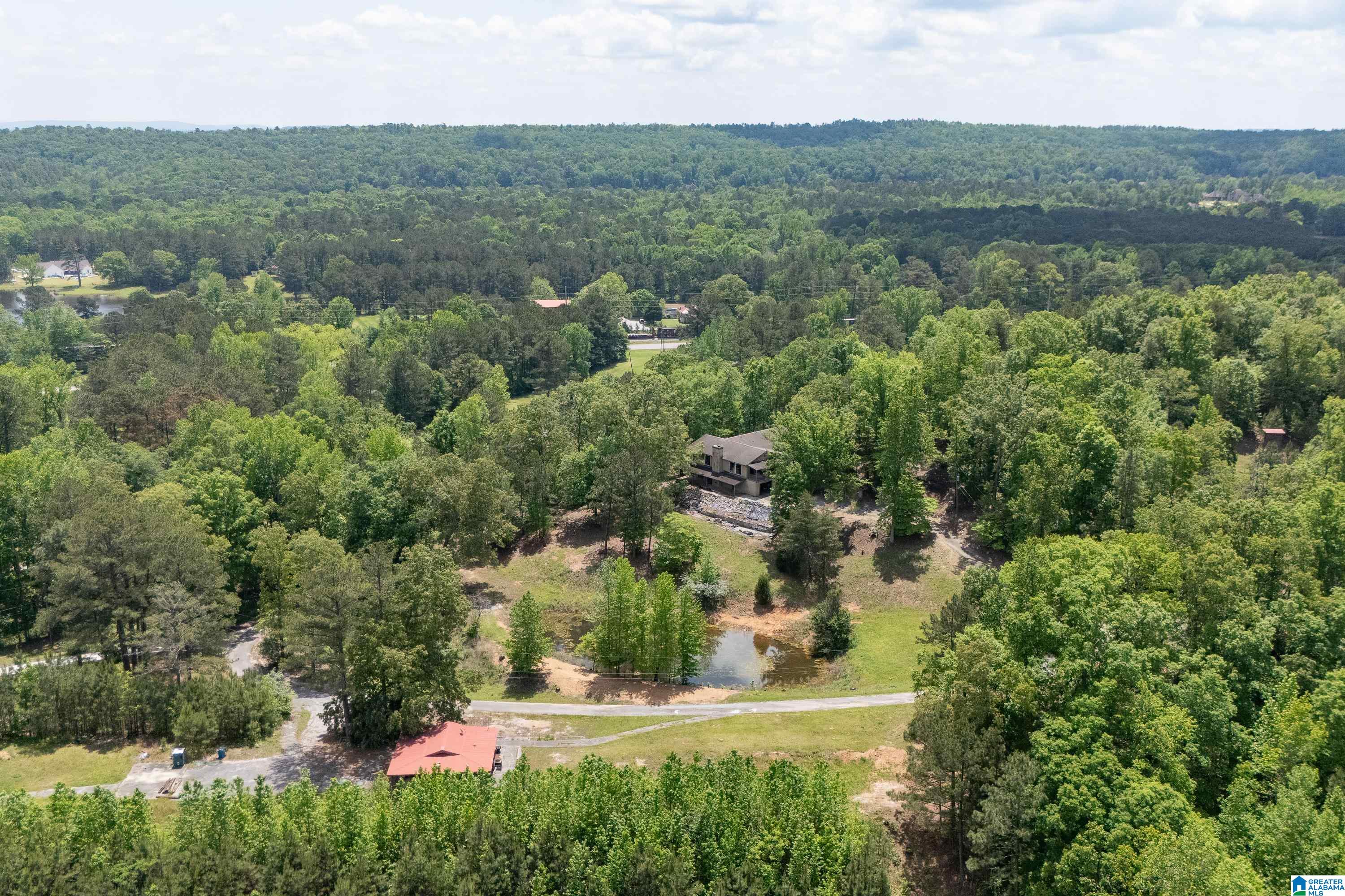 297 Cain Road Chelsea, AL 35043 - Photo 27 of 33
