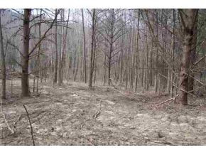 Lot 1 Steve Brown Road Bean Station, TN 37708 - Photo 5 of 5 Photo 5