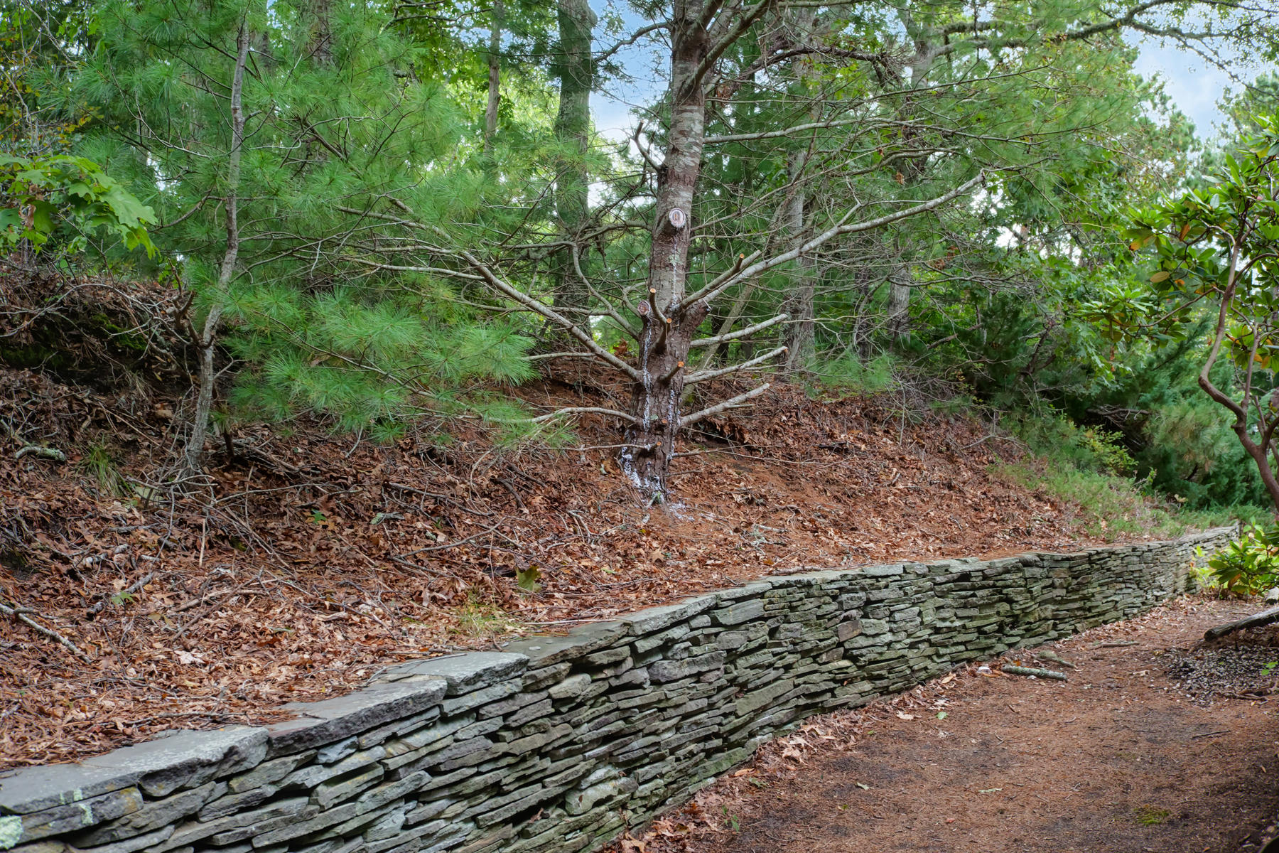 169 Glenneagle Drive Mashpee, MA 02649 - Photo 27 of 28 016_169Glenneagle_10042019