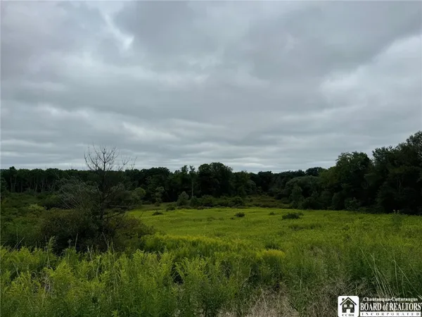 $42,000 | 3732-falconer Kimble Stan 3732-falconer Kimble Stan Falconer Kimball Stand Road, Falconer, NY 14733