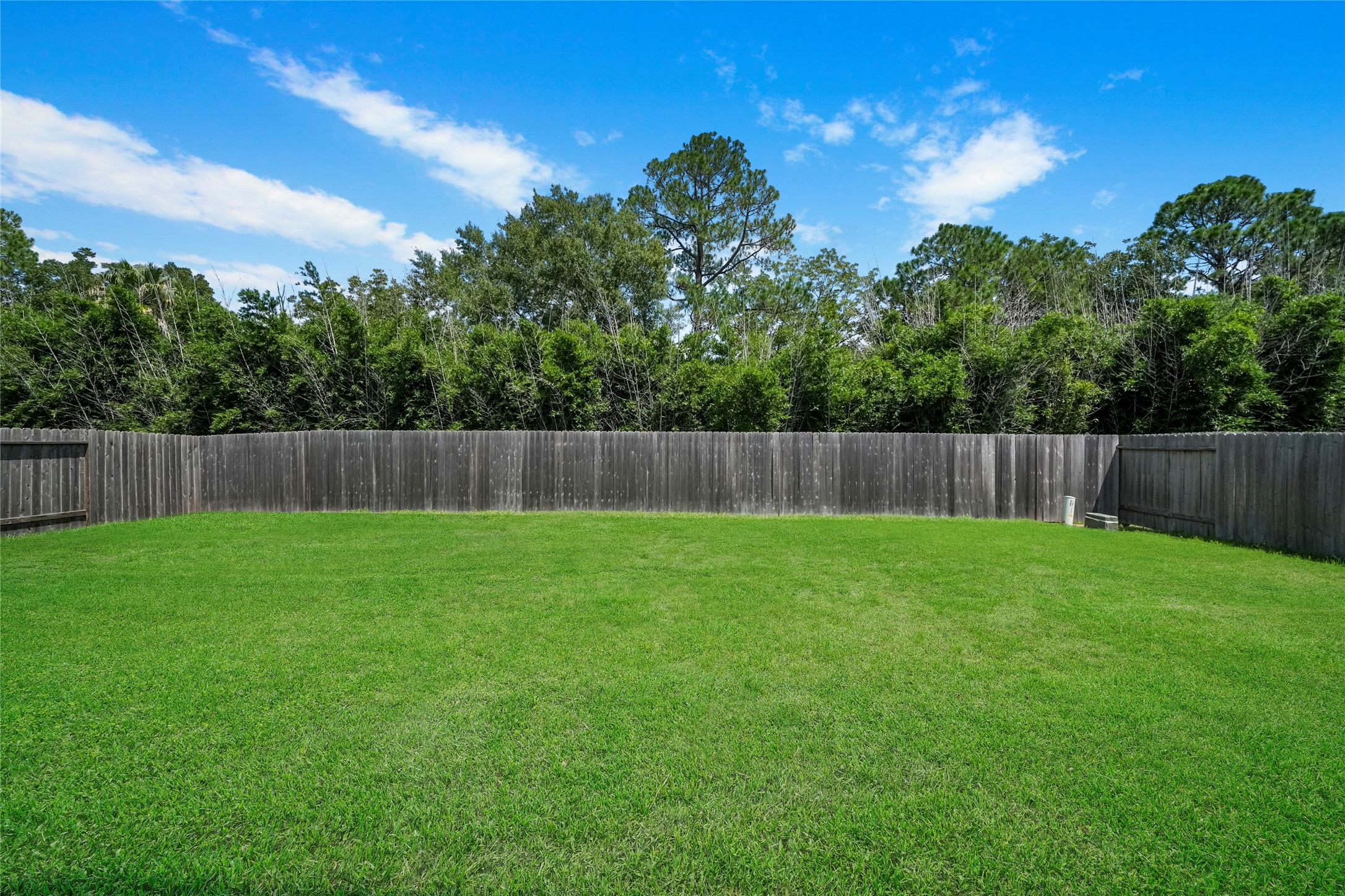 3227 Fairhaven Lane Rosenberg, TX 77471 - Photo 29 of 30 plenty of space