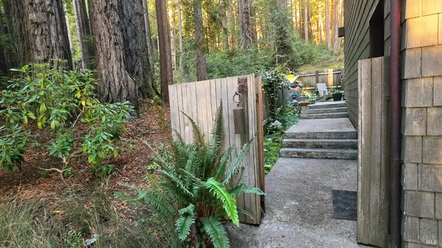 a view of a pathway of a garden