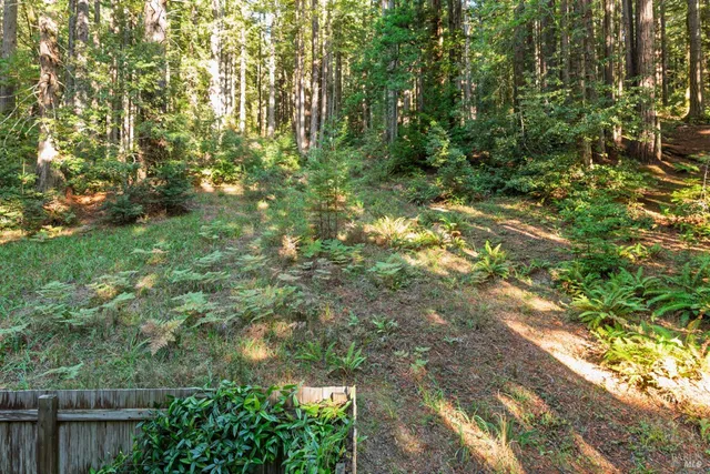 a view of outdoor space and garden