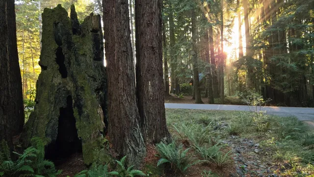 $895,000 | 37162 Schooner Drive, The Sea Ranch, CA 95497