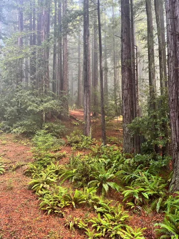 $895,000 | 37162 Schooner Drive, The Sea Ranch, CA 95497