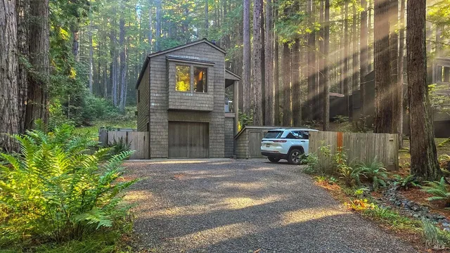 a view of a yard with trees and bushes