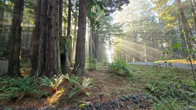 $895,000 | 37162 Schooner Drive, The Sea Ranch, CA 95497