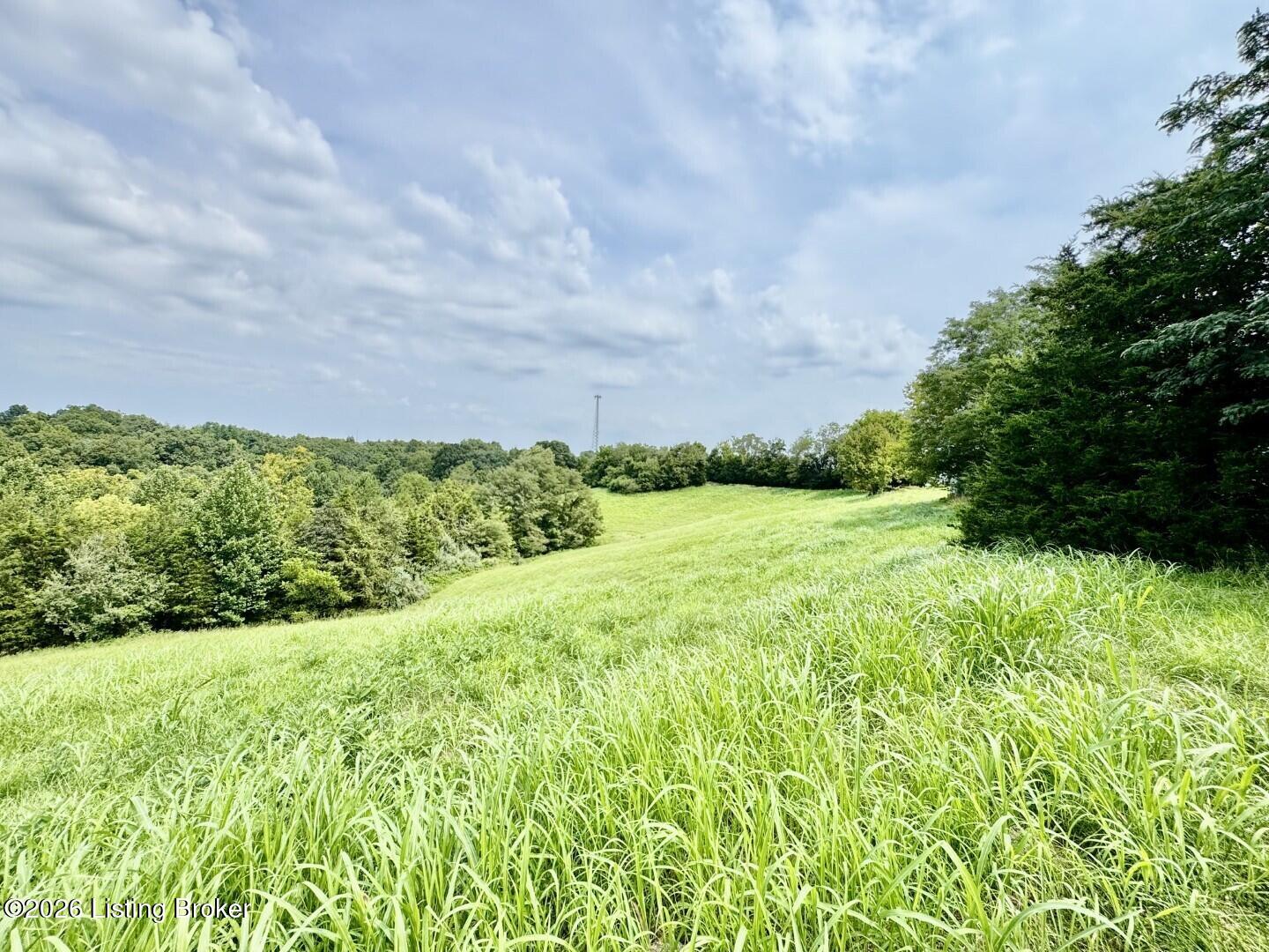 4223 Chaplin Road Willisburg, KY 40078 - Photo 41 of 48 041_Acreage
