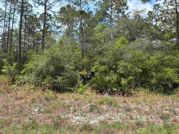 $40,000 | Lot 50 Whiteford Way, Panacea, FL 32346