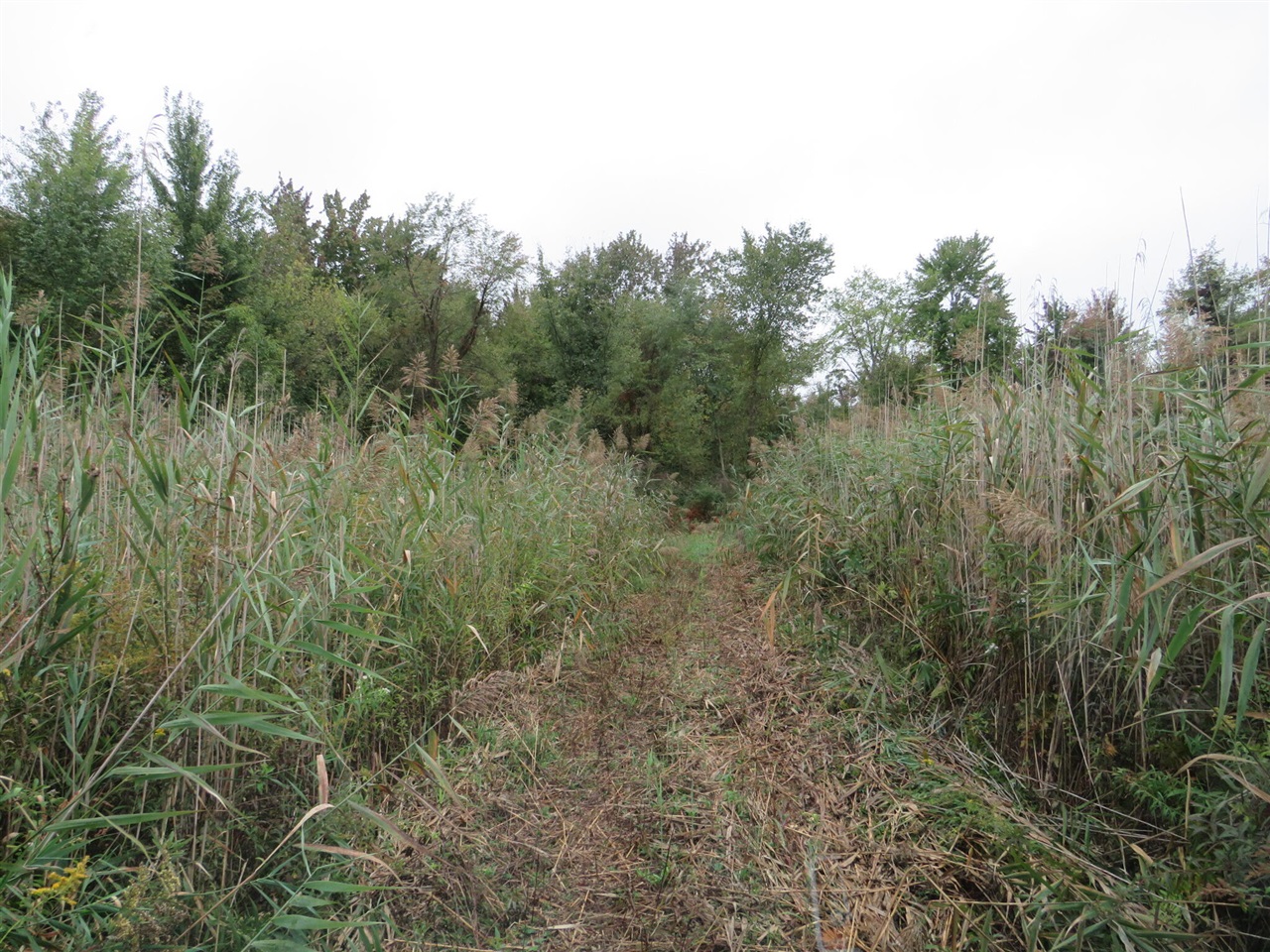 Vl Mcclure Road Eaton Rapids, MI 48827 - Photo 20 of 72