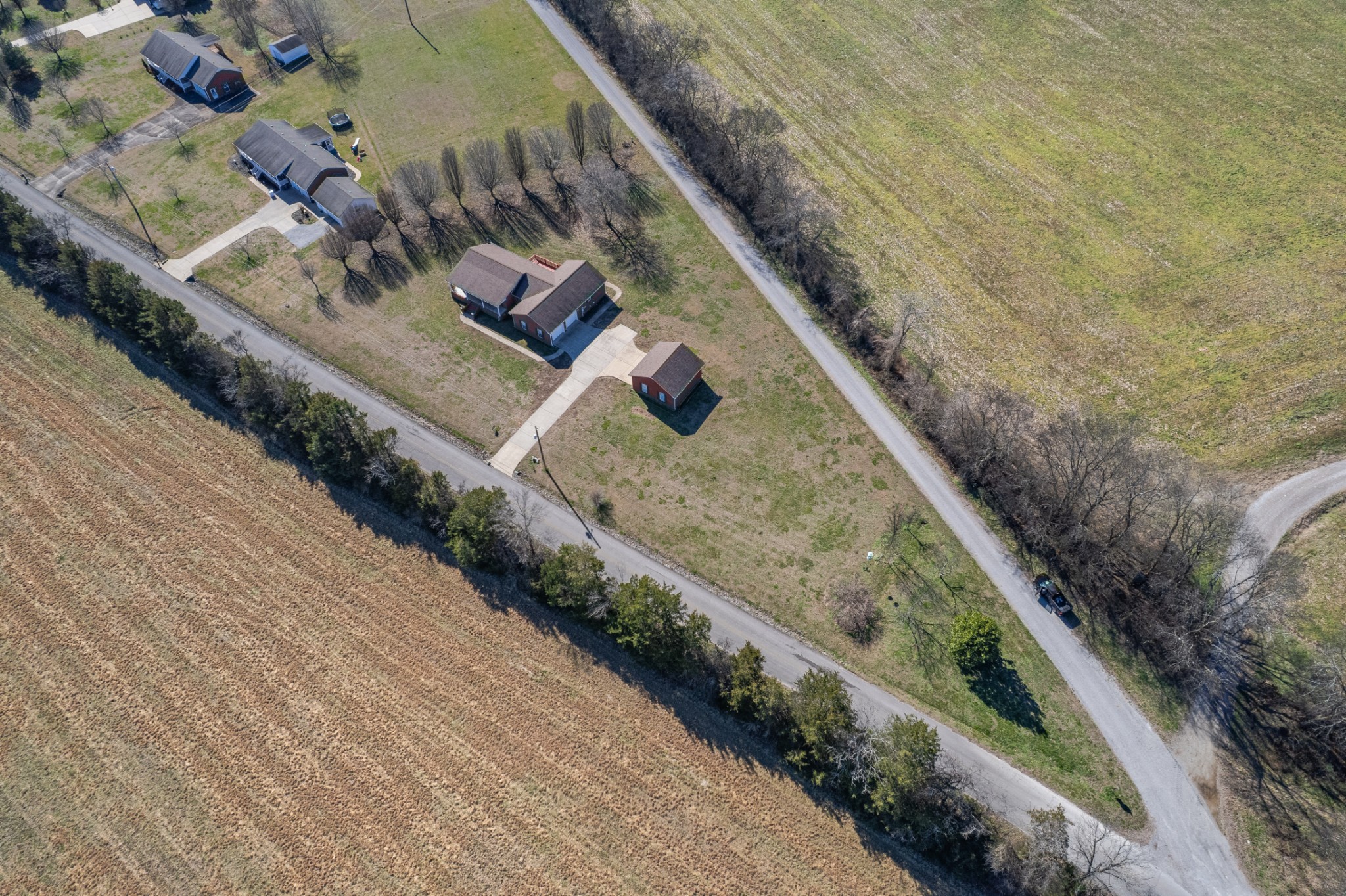 2200 Crescentview Road Pulaski, TN 38478 - Photo 63 of 69 a view of a yard with two plants