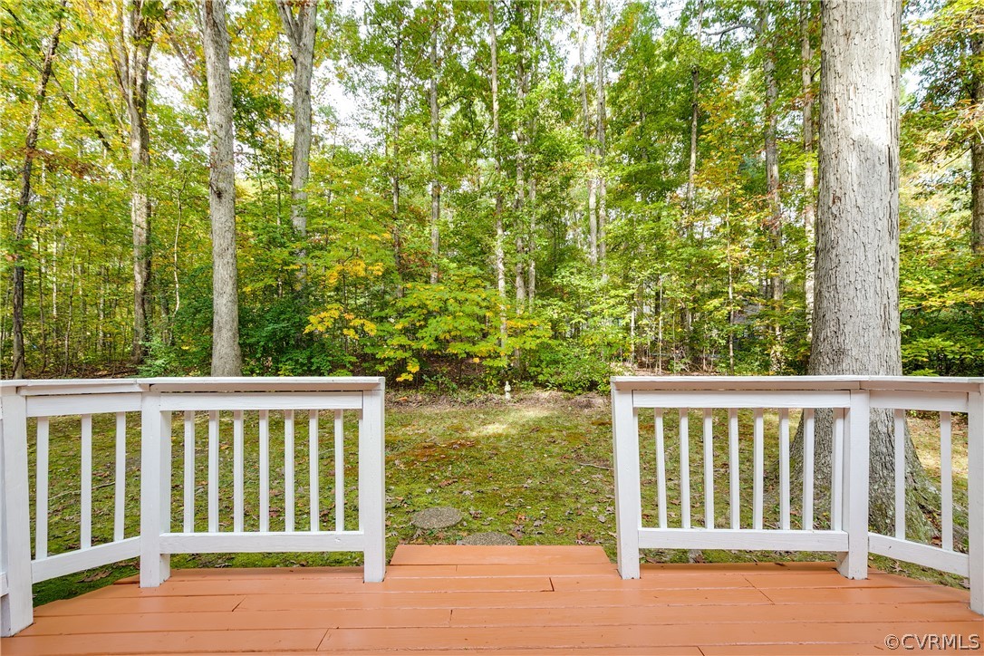13618 Cradle Hill Road Midlothian, VA 23112 - Photo 22 of 23 Gallery Image 22
