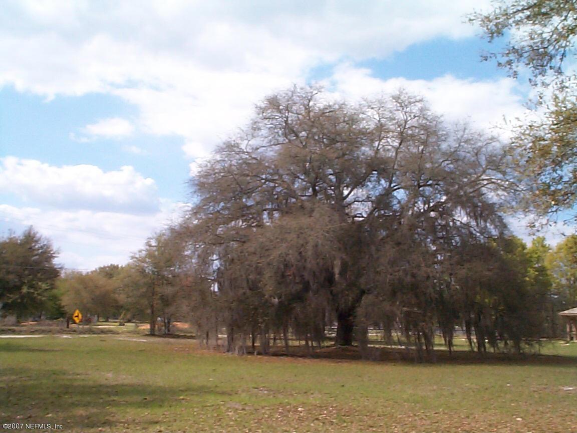 3346 Thunder Road Middleburg, FL 32068 - Photo 4 of 7 More Oaks